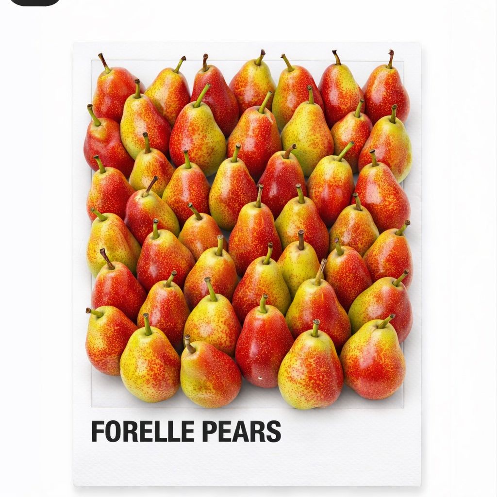 FORELLE PEARS