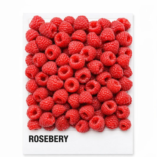 Roseberry