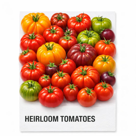 HEIRLOOM TOMATOES
