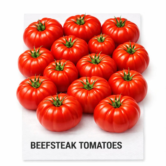 BEEFSTEAK TOMATOES