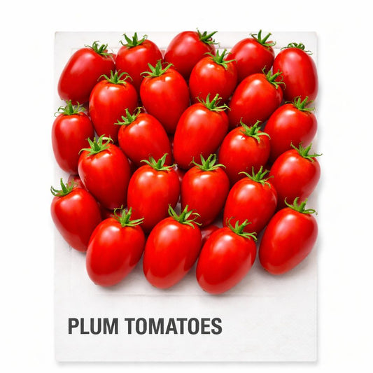 PLUM TOMATOES