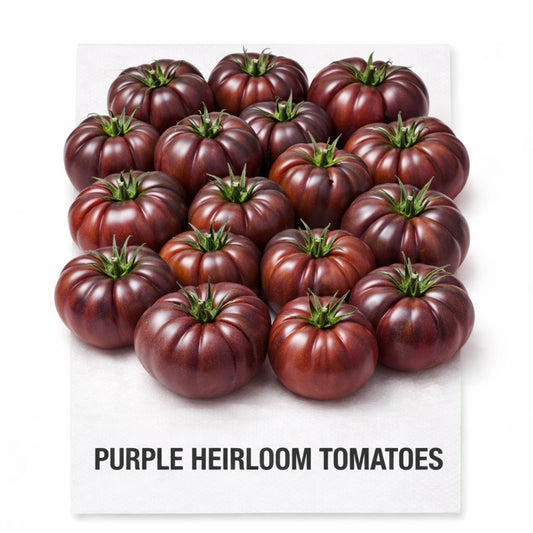 PURPLE HEIRLOOM TOMATOES