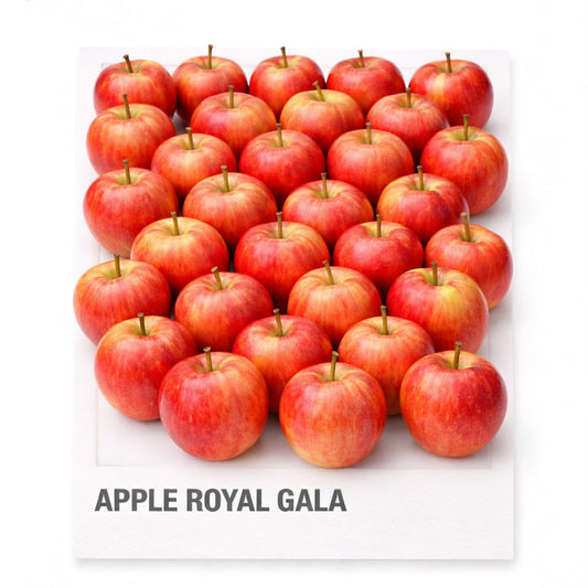APPLE ROYAL GALA