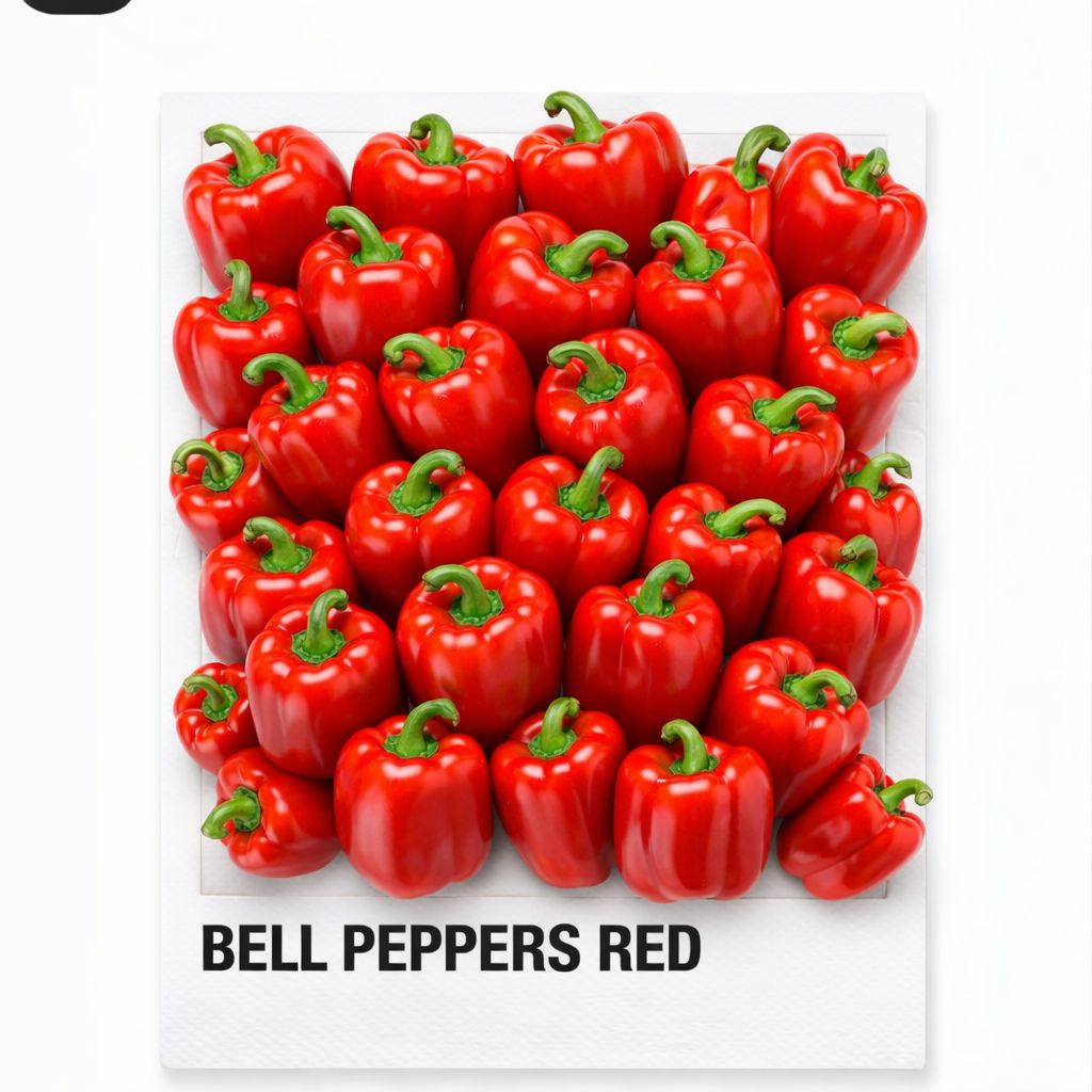 BELL PEPPERS RED