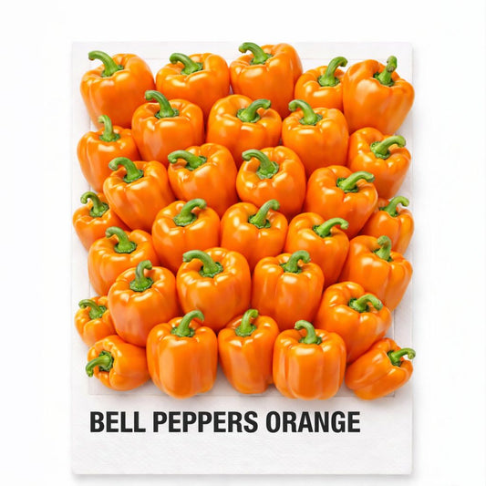 BELL PEPPERS ORANGE